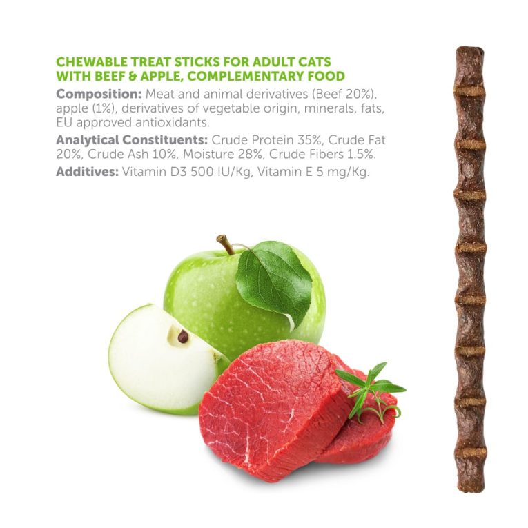 WhatsApp Image 2026-01-11 at 10.59.17 (2)