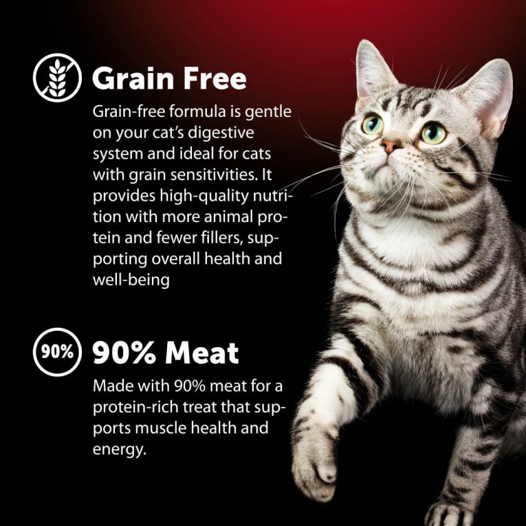 WhatsApp Image 2026-01-11 at 10.59.33 (3)