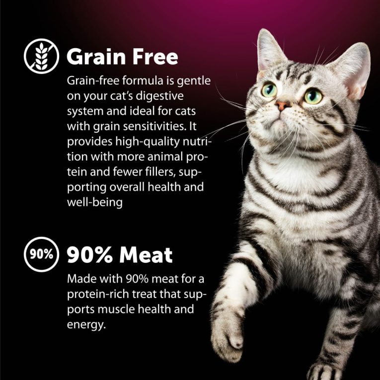 WhatsApp Image 2026-01-11 at 10.59.35 (1)